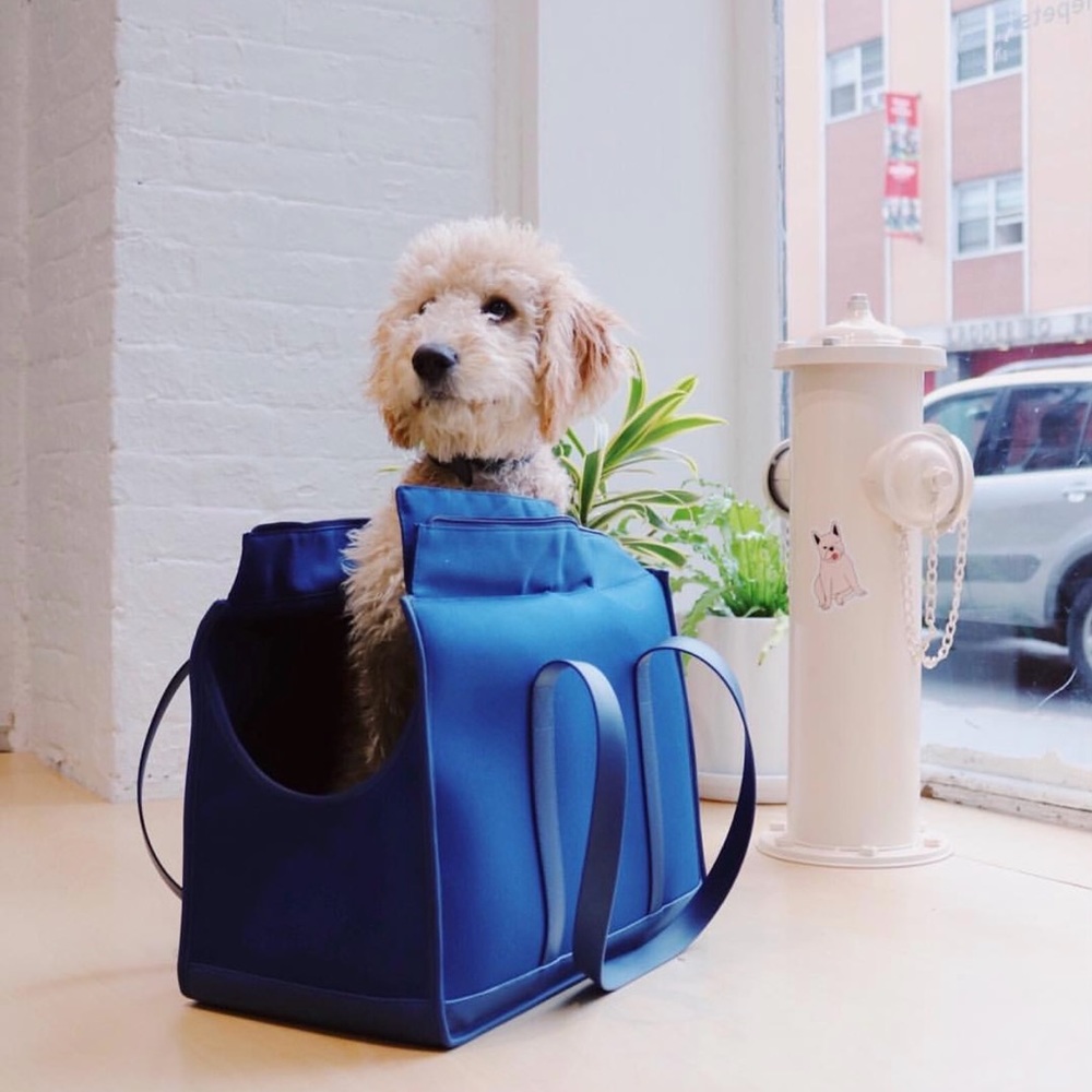 Wild one dog carrier bag